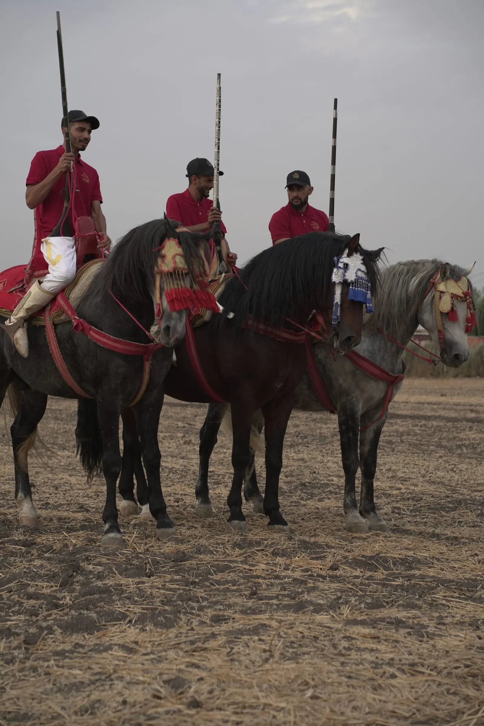 Cavaliers de fantasia en tenue traditionnelle, fusils levés, sur leurs chevaux harnachés